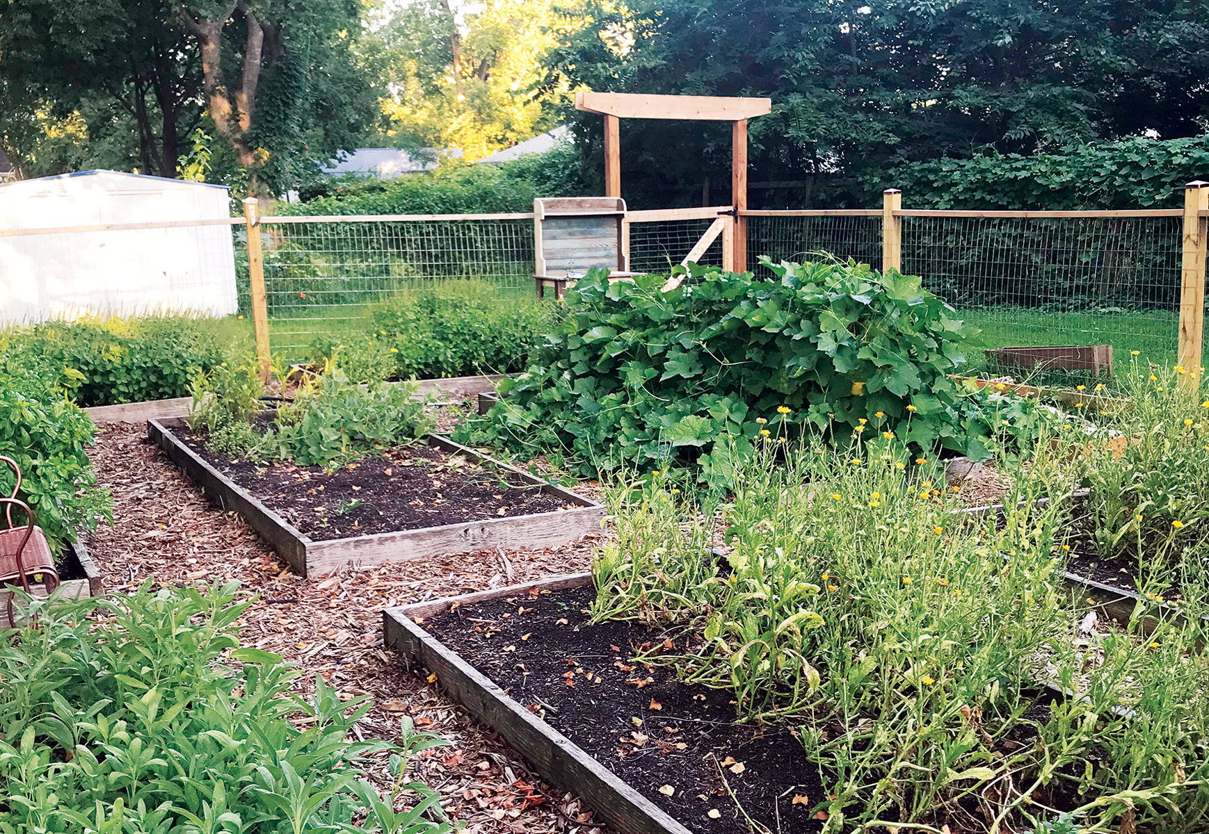 This South Bay plant shop is a wellness retreat for the weary - Los Angeles  Times, image size:1738x1200